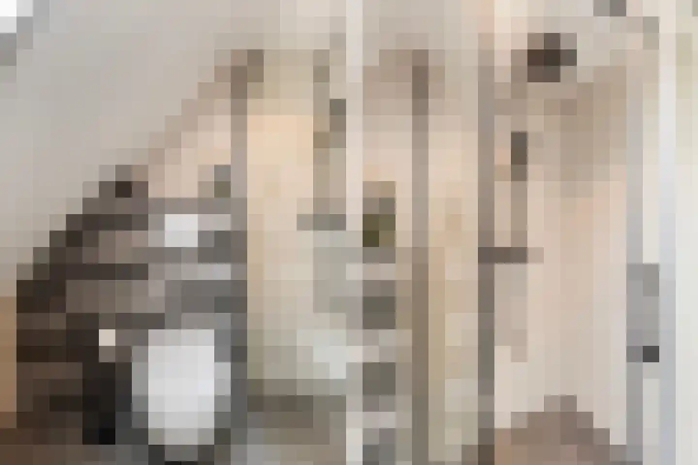 Memerdastate 6 Hallum thumbnail 25