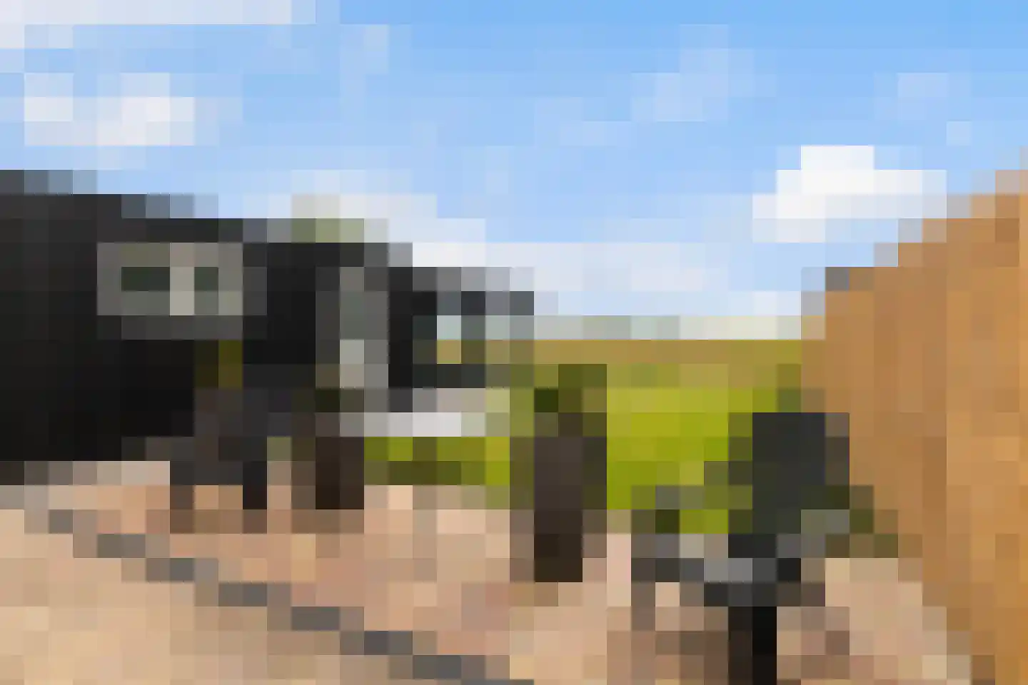 Memerdastate 6 Hallum thumbnail 32
