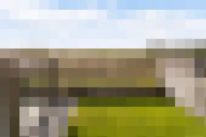 Memerdastate 6 Hallum thumbnail 38