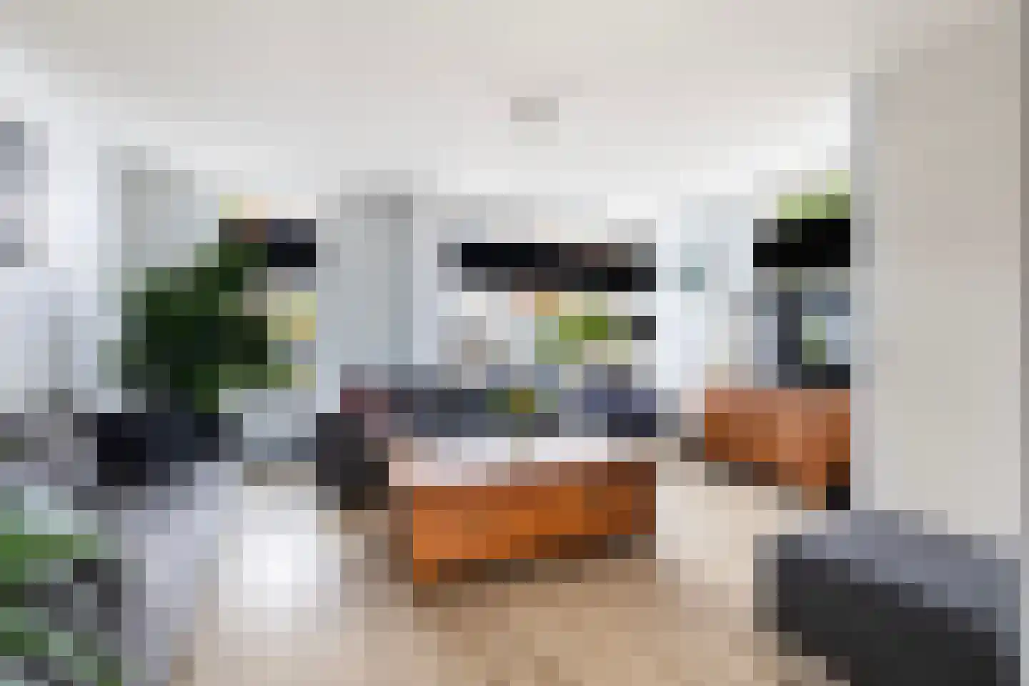 Memerdastate 6 Hallum thumbnail 4