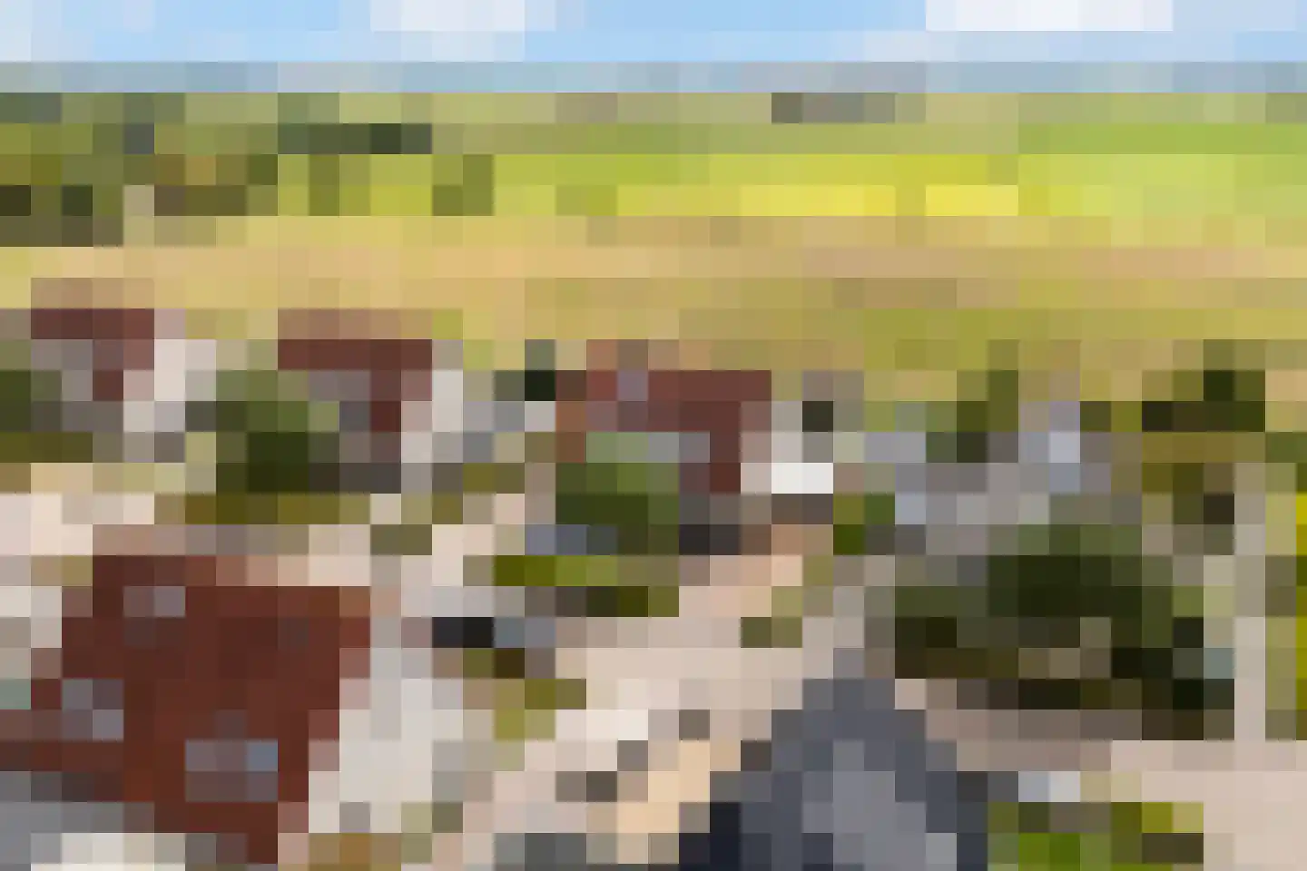 Memerdastate 6 Hallum thumbnail 44