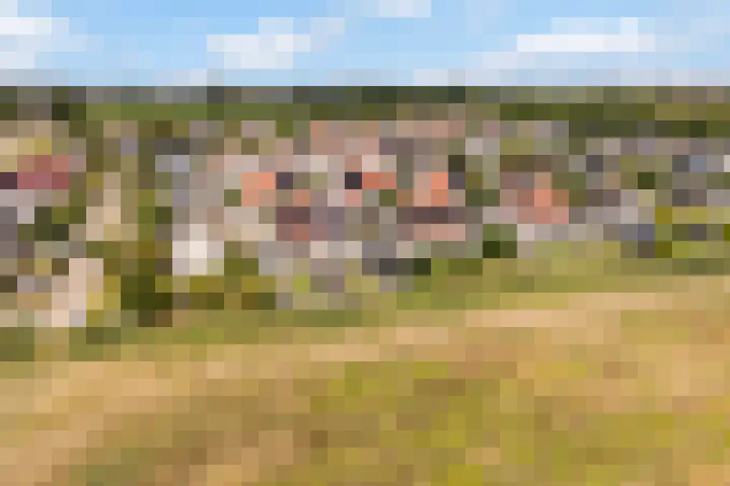 Memerdastate 6 Hallum thumbnail 47