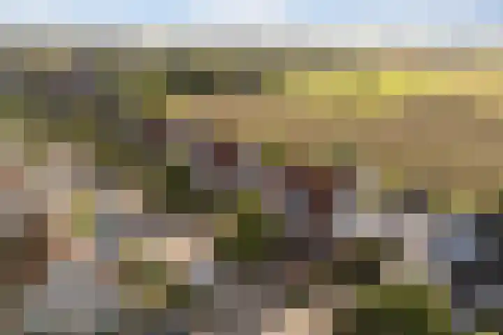 Memerdastate 6 Hallum thumbnail 48