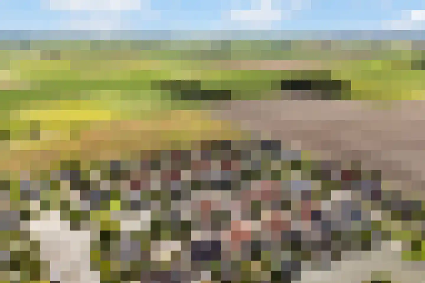Memerdastate 6 Hallum thumbnail 48