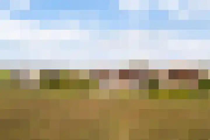 Memerdastate 6 Hallum thumbnail 54