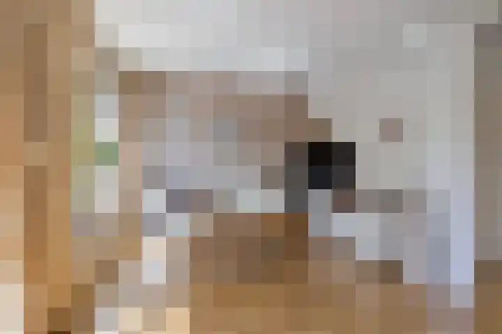 Memlinclaan 14 Heerhugowaard thumbnail 12