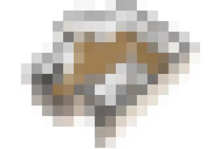 Memlinclaan 14 Heerhugowaard thumbnail 17