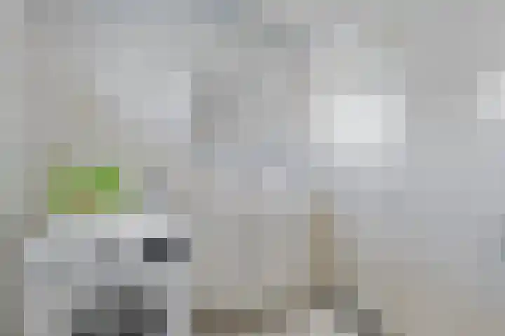 Memlinclaan 14 Heerhugowaard thumbnail 24