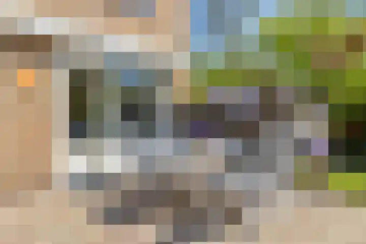 Memlinclaan 14 Heerhugowaard thumbnail 35