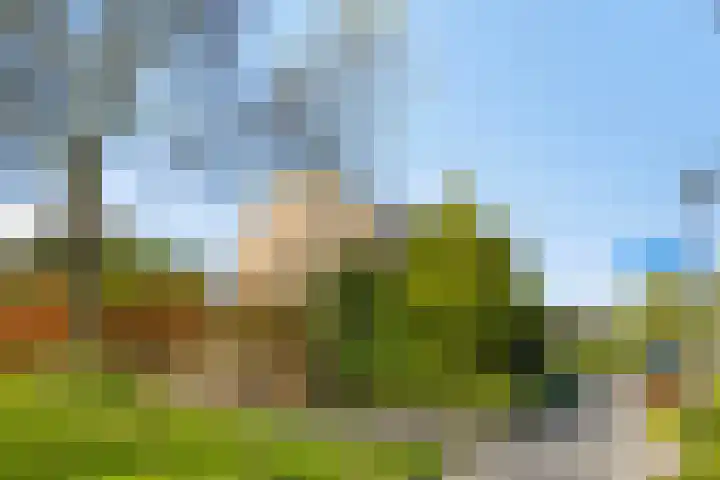 Memlinclaan 14 Heerhugowaard thumbnail 37