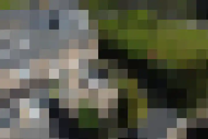 Memlinclaan 14 Heerhugowaard thumbnail 38