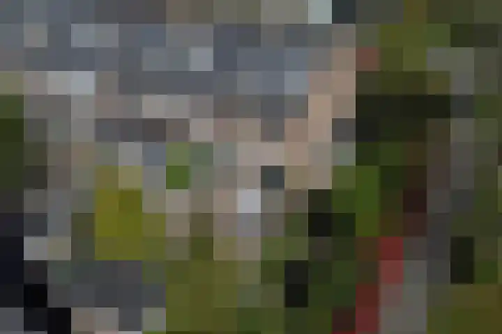 Memlinclaan 14 Heerhugowaard thumbnail 39