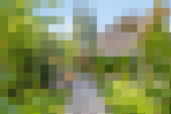 Memlinclaan 14 Heerhugowaard thumbnail 4