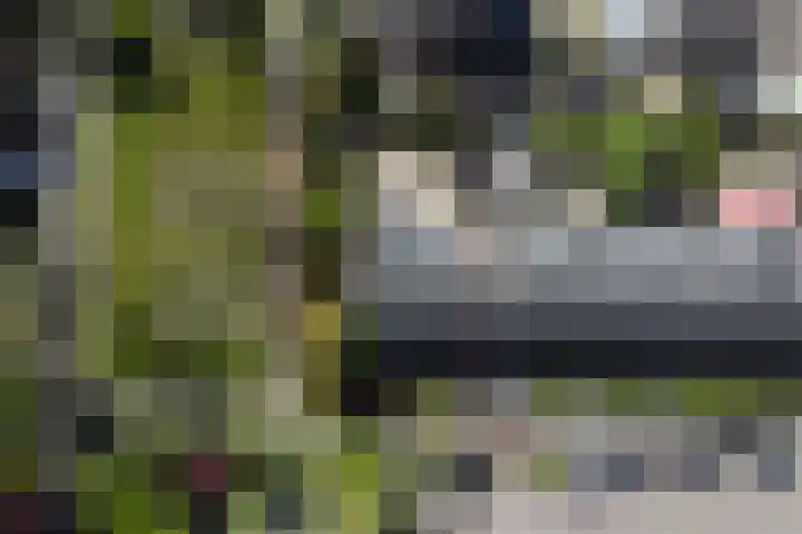 Memlinclaan 14 Heerhugowaard thumbnail 40