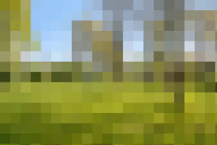 Memlinclaan 14 Heerhugowaard thumbnail 42