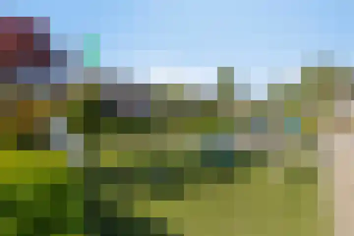 Memlinclaan 14 Heerhugowaard thumbnail 6