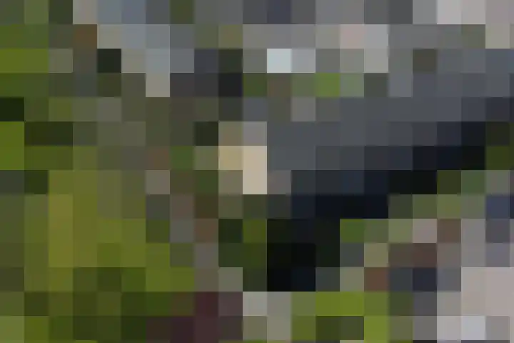 Memlinclaan 14 Heerhugowaard thumbnail 7