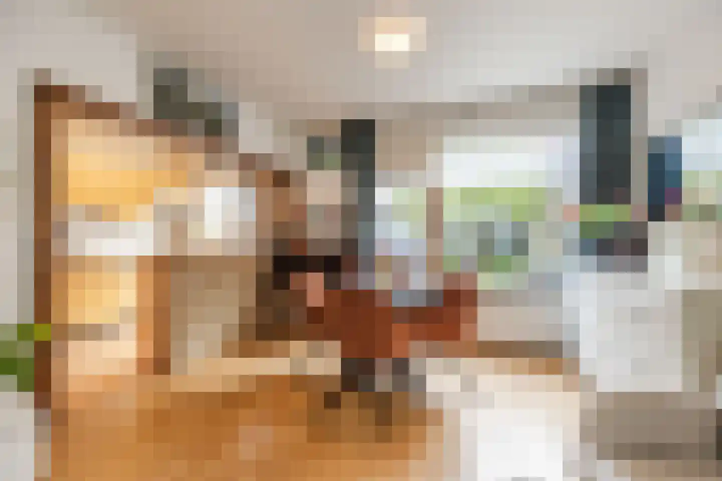 Memlincstraat 8 Roosendaal thumbnail 18