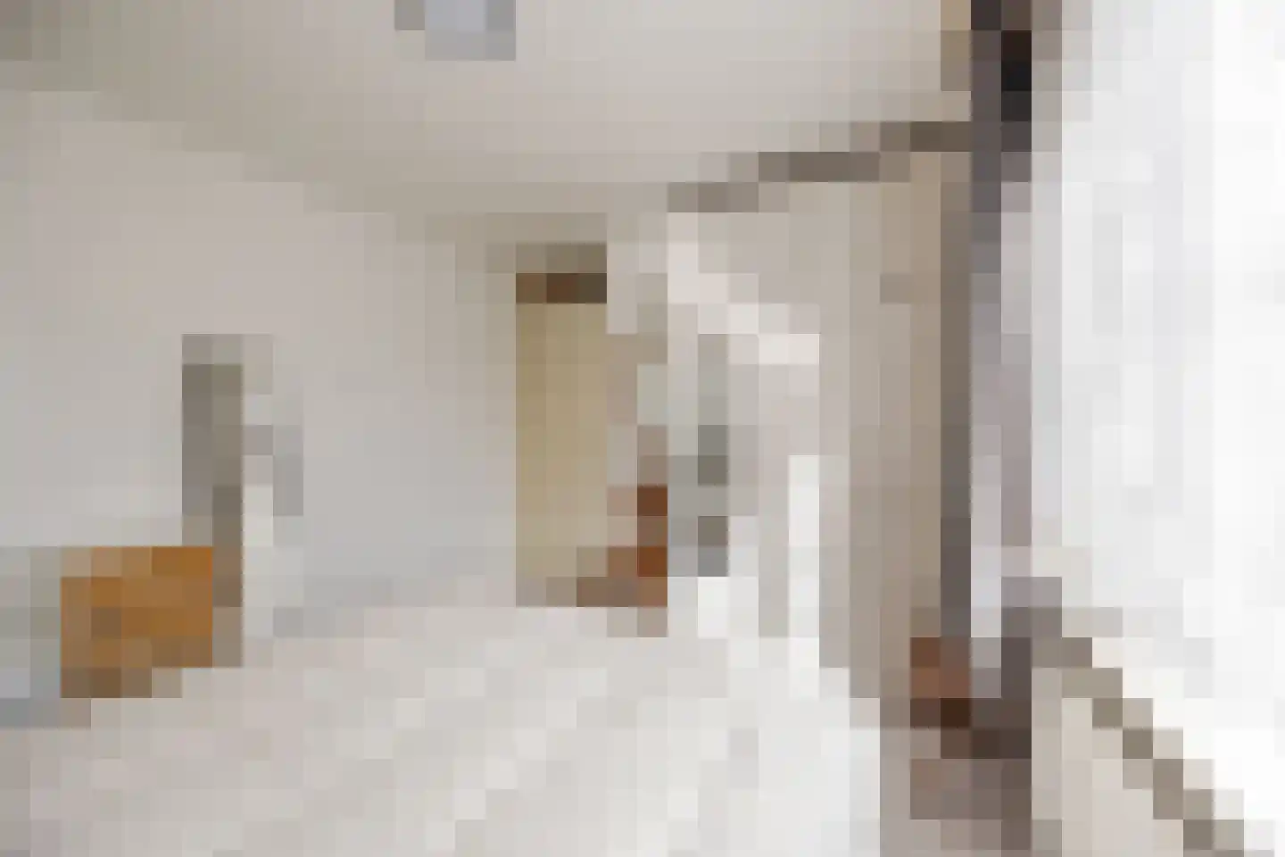 Memlincstraat 8 Roosendaal thumbnail 30