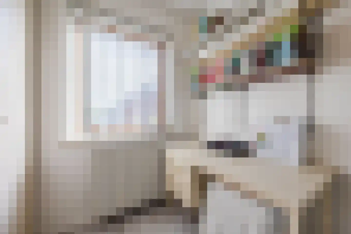 Memlincstraat 8 Roosendaal thumbnail 31