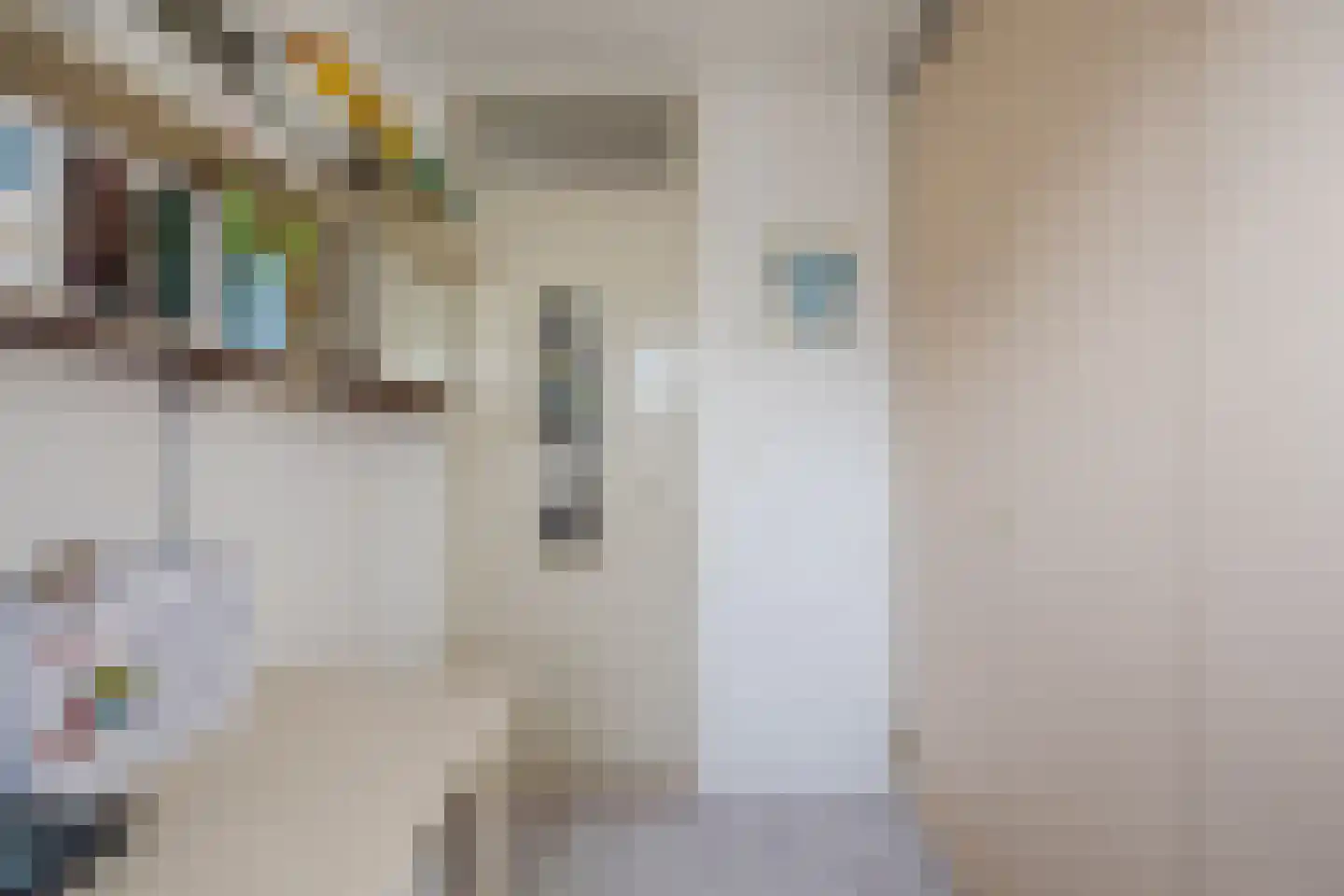 Memlincstraat 8 Roosendaal thumbnail 32