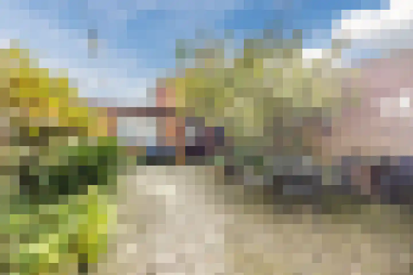 Memlincstraat 8 Roosendaal thumbnail 36