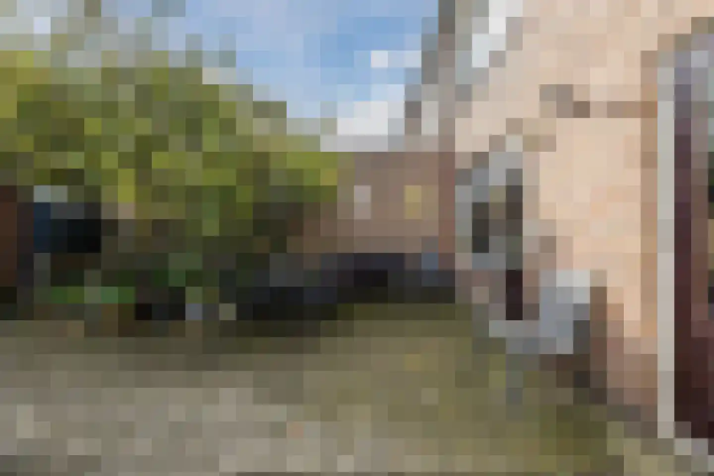 Memlincstraat 8 Roosendaal thumbnail 37
