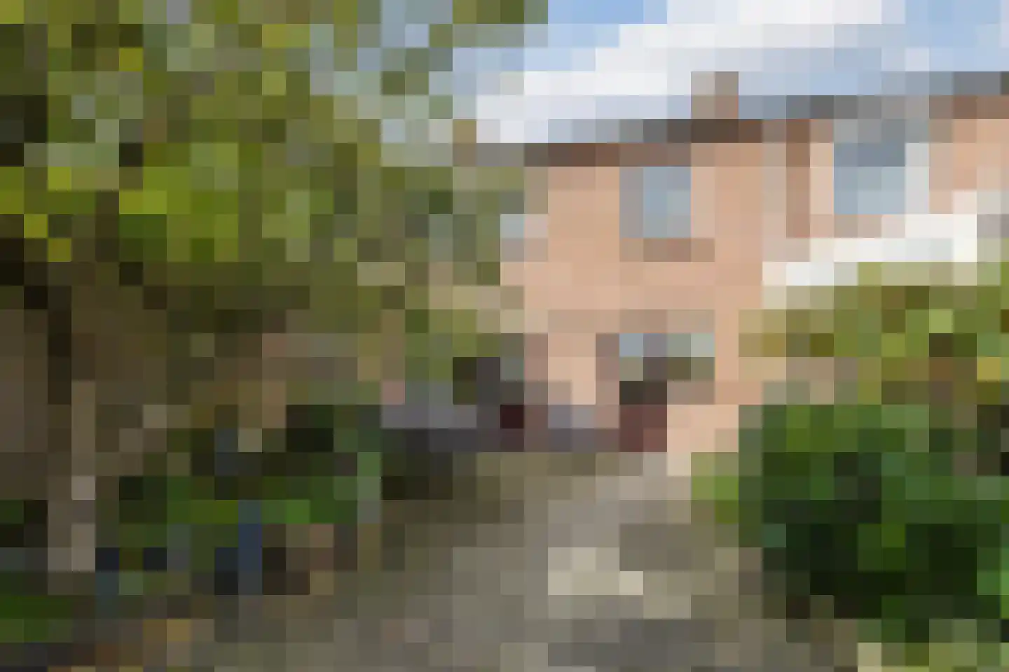 Memlincstraat 8 Roosendaal thumbnail 39