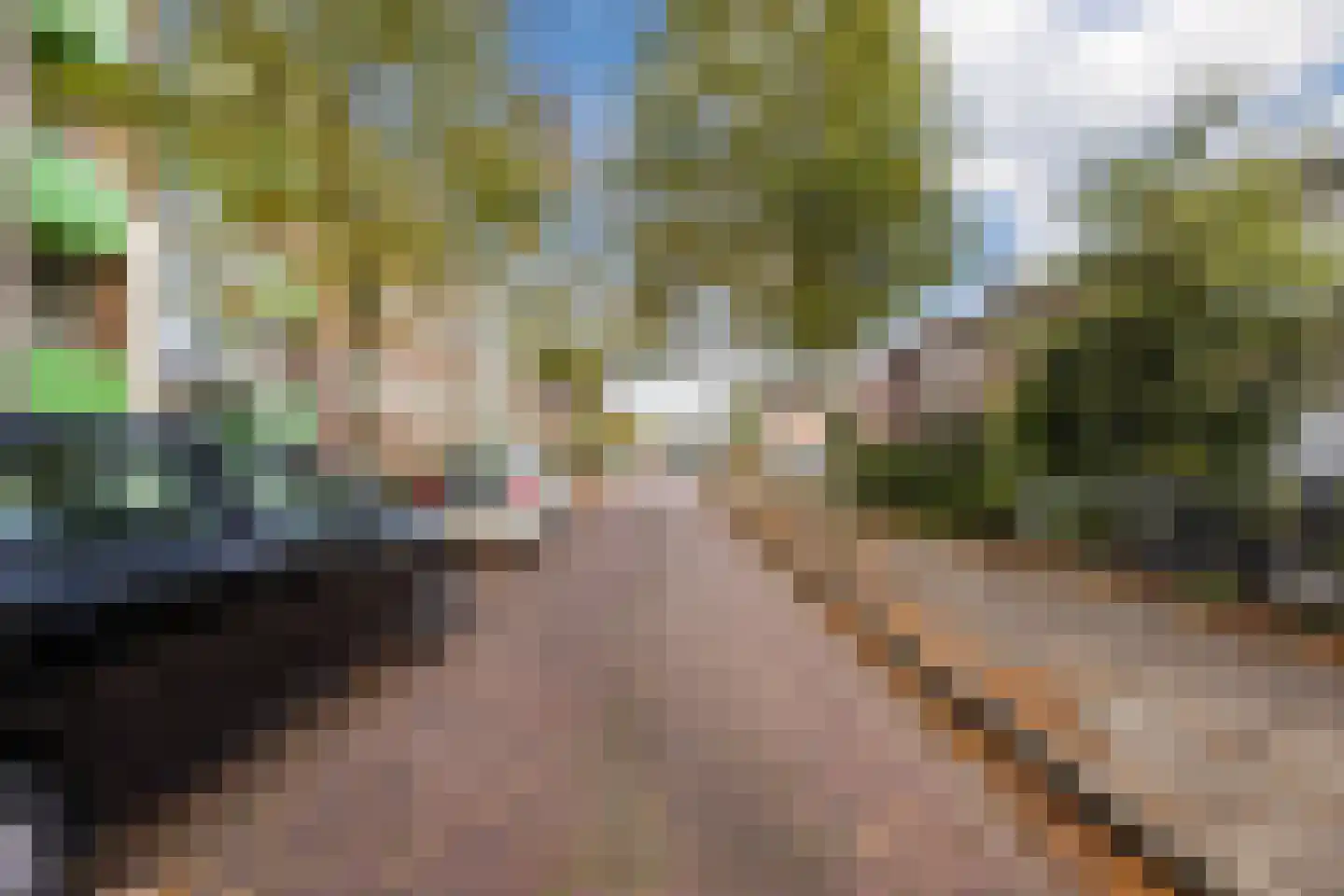 Memlincstraat 8 Roosendaal thumbnail 41