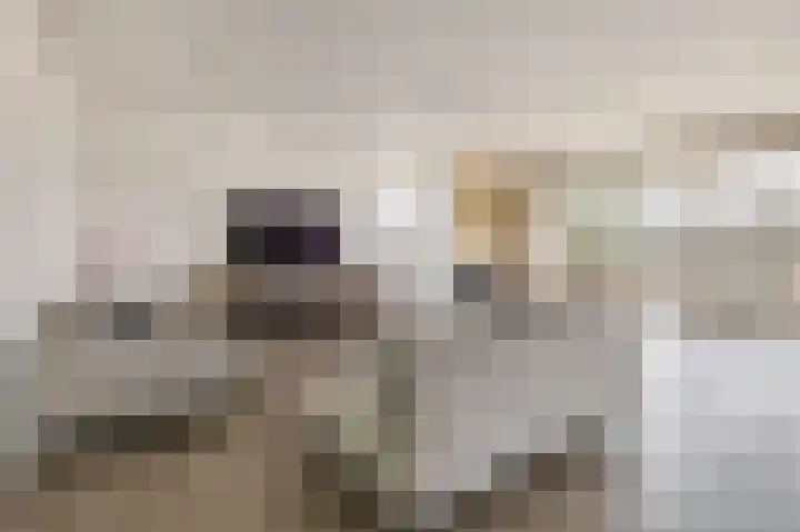 Memlinghof 19 Krimpen aan den IJssel thumbnail 18