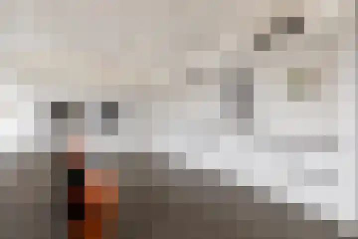 Memlinghof 19 Krimpen aan den IJssel thumbnail 25