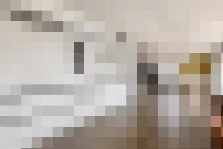 Memlinghof 19 Krimpen aan den IJssel thumbnail 26