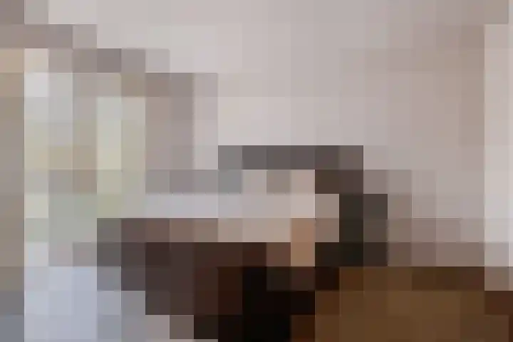 Memlinghof 19 Krimpen aan den IJssel thumbnail 29