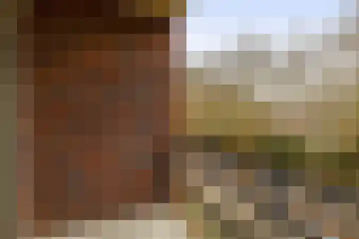 Memlinghof 19 Krimpen aan den IJssel thumbnail 32