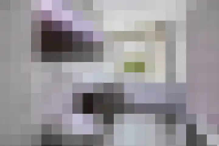 Memlinghof 19 Krimpen aan den IJssel thumbnail 33