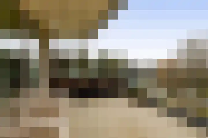 Memlinghof 19 Krimpen aan den IJssel thumbnail 4