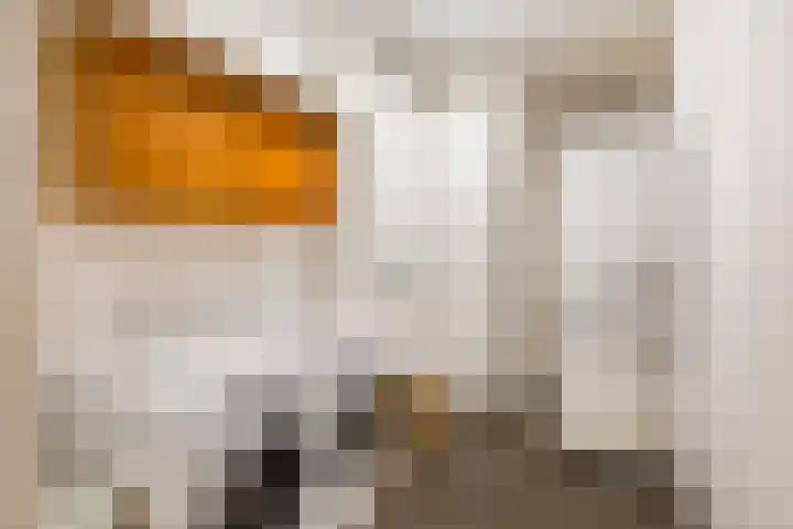 Memlinghof 19 Krimpen aan den IJssel thumbnail 41