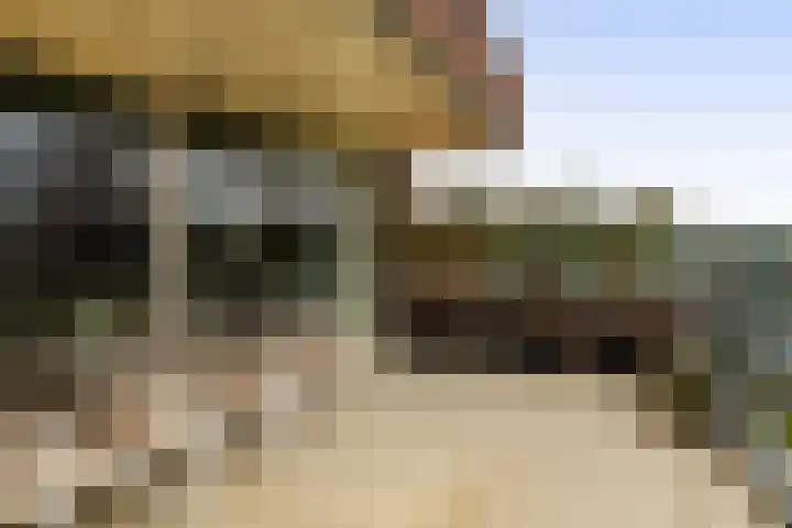 Memlinghof 19 Krimpen aan den IJssel thumbnail 42
