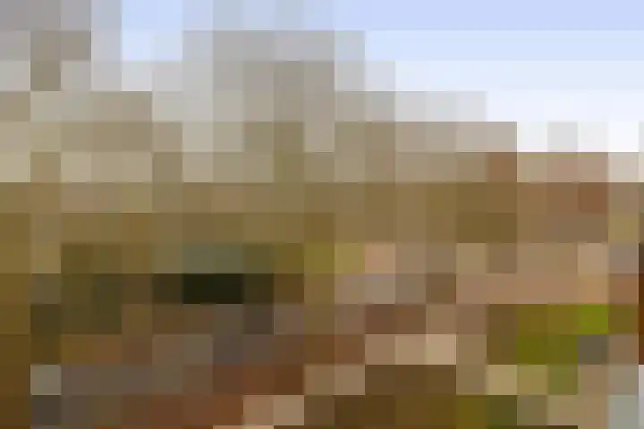 Memlinghof 19 Krimpen aan den IJssel thumbnail 46