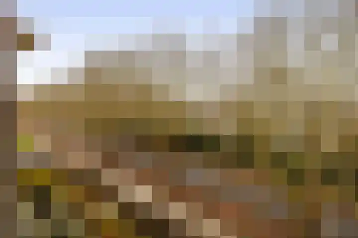 Memlinghof 19 Krimpen aan den IJssel thumbnail 47