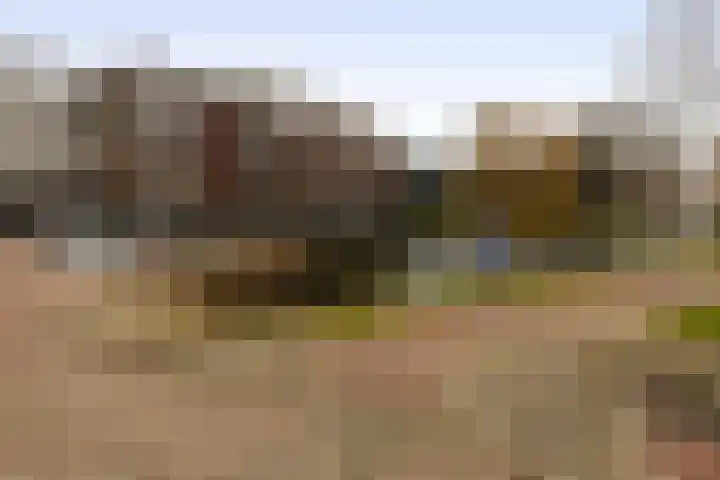 Memlinghof 19 Krimpen aan den IJssel thumbnail 5