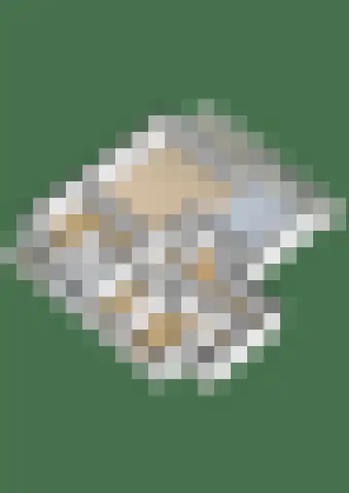 Memlinghof 19 Krimpen aan den IJssel thumbnail 61