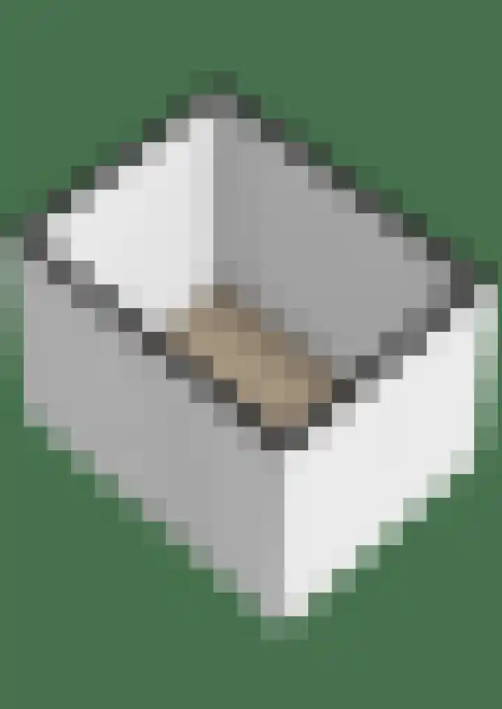 Memlinghof 19 Krimpen aan den IJssel thumbnail 64