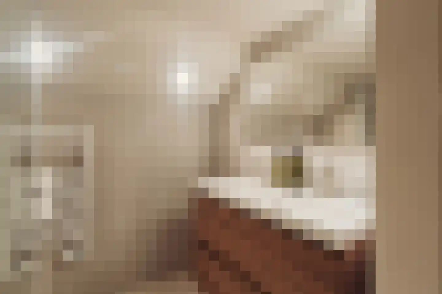 Memlingstraat 27 H Amsterdam thumbnail 35