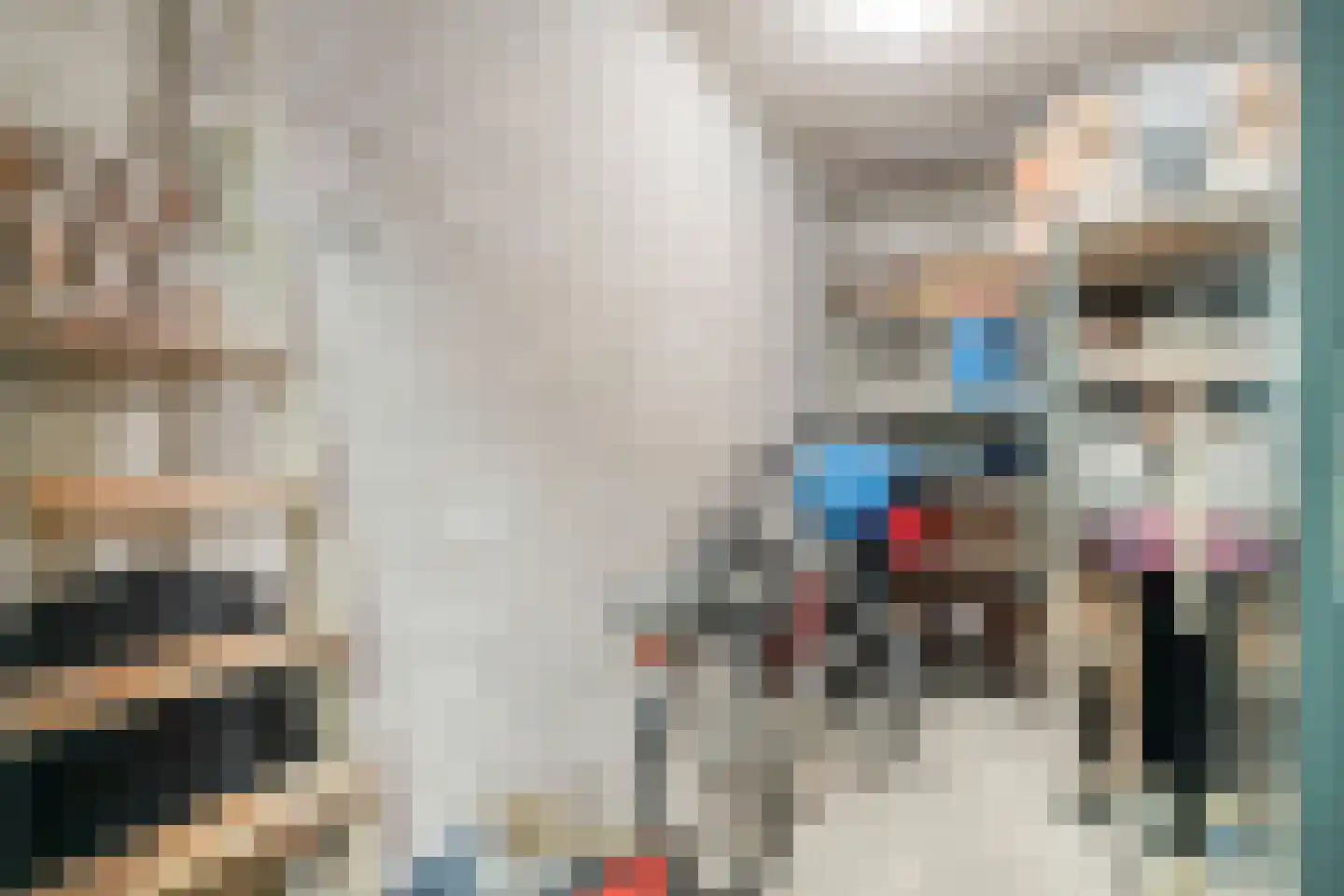 Memlingstraat 5 Krimpen aan den IJssel thumbnail 21