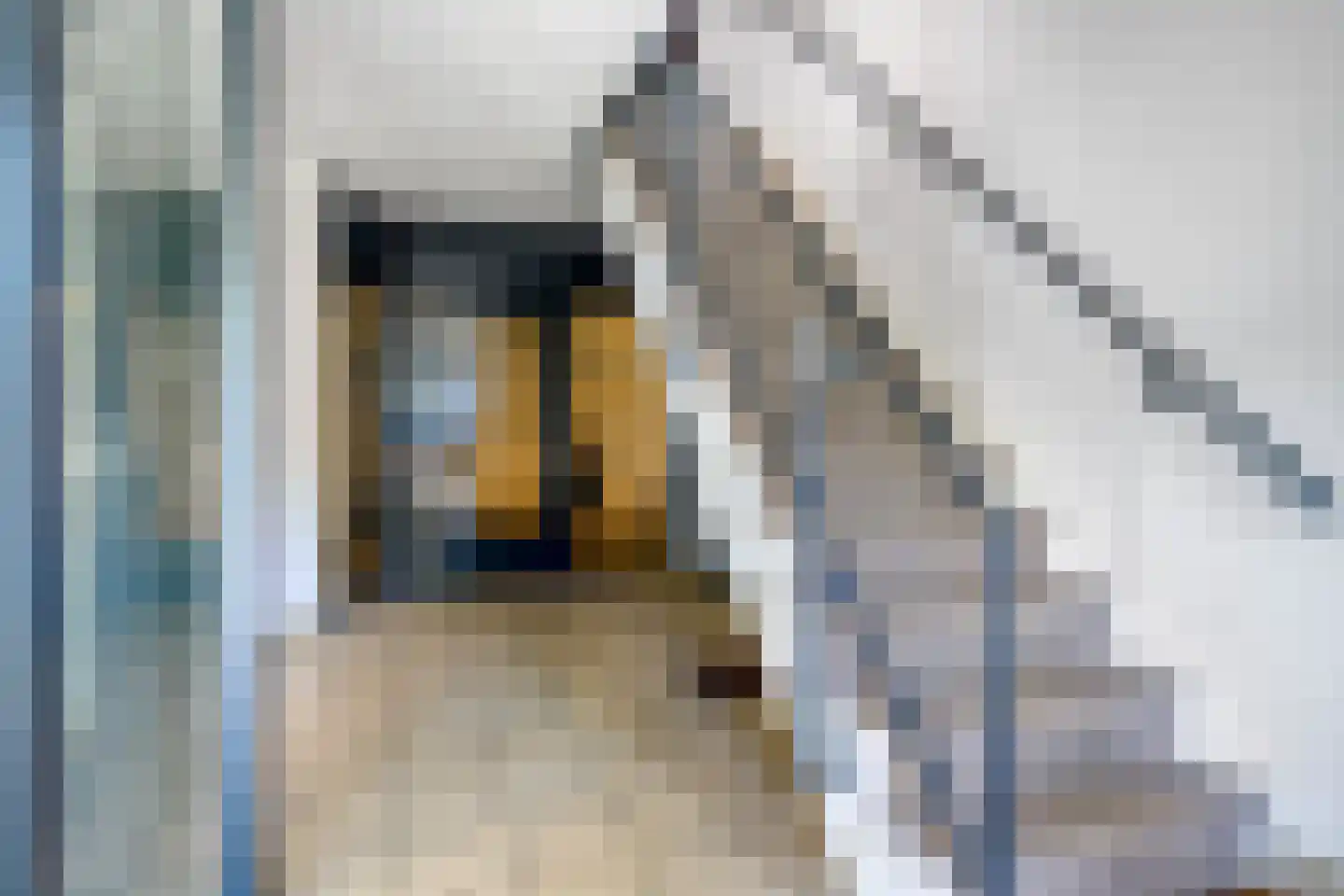 Memlingstraat 5 Krimpen aan den IJssel thumbnail 25