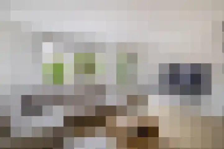 Memlingstraat 53 Krimpen aan den IJssel thumbnail 12