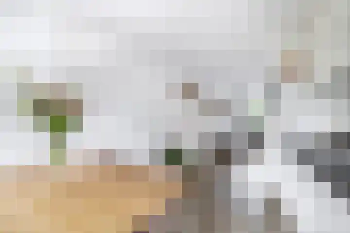 Memlingstraat 53 Krimpen aan den IJssel thumbnail 15
