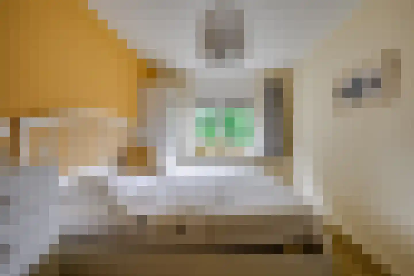 Memlingstraat 7 Krimpen aan den IJssel thumbnail 26