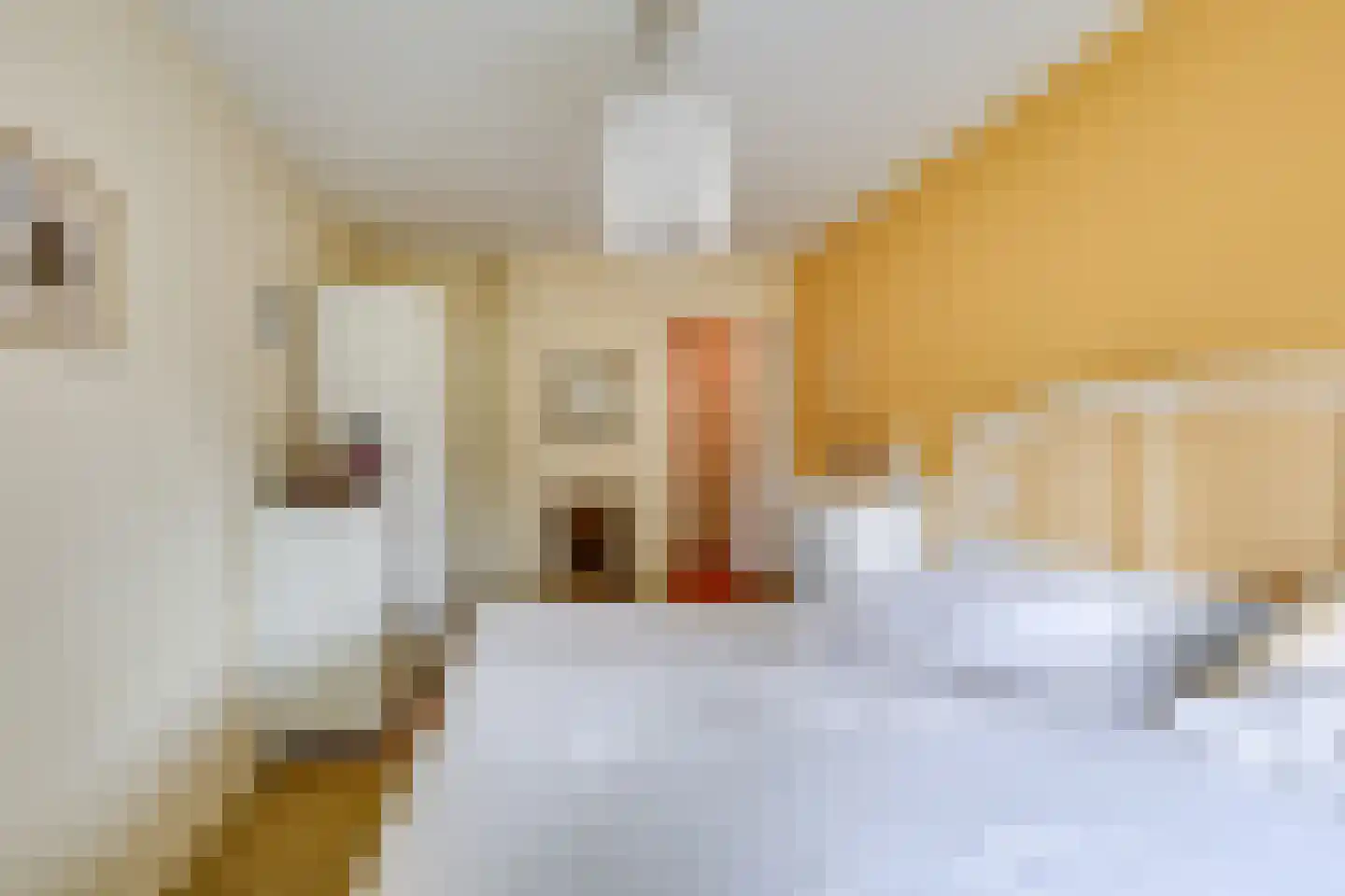 Memlingstraat 7 Krimpen aan den IJssel thumbnail 27